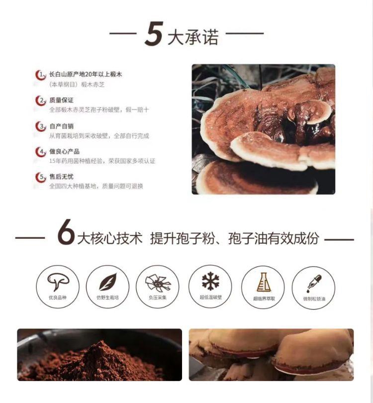 5大承诺.jpg