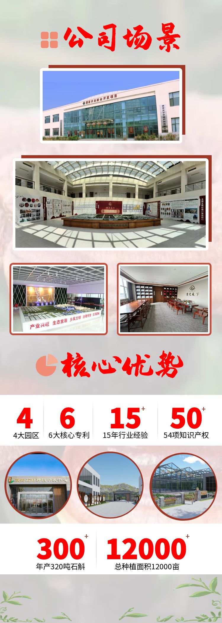 公司场景2-新-石斛版.jpg