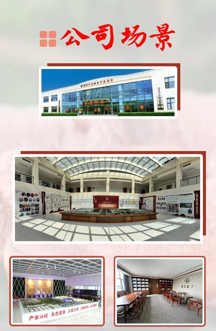 公司场景2-新-2026 - 副本.jpg
